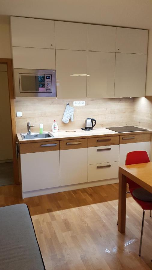 Rokytka Apartman 217 Rokytnice nad Jizerou Extérieur photo